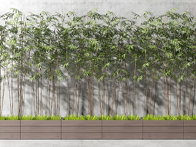 Row Of Bamboo Plants Against Gray Wall In Wooden Planters With Green Grass 3d model