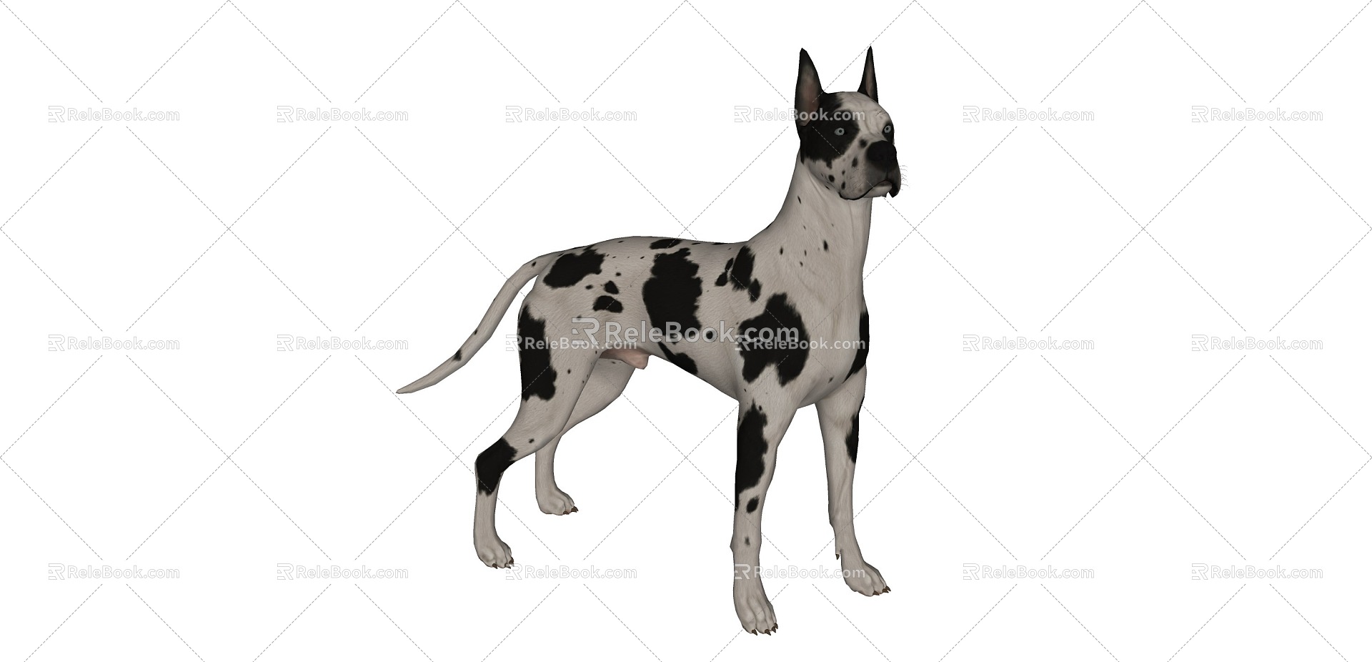 Pet dog 3d model