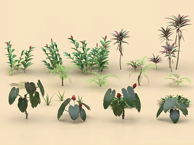 Colorful Garden Shrubs with Green Purple Leaves and Red Blooms Collection 3d model