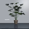 Green Leafy Bonsai Plant In Beige Pot For Modern Indoor Decoration
