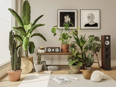 Potted Plants in Indoor Living Space with Window Blinds Wall Art Table Speakers and Magazines 3d model