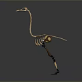 Ostrich Skeleton Model With Metallic Structure Long Neck And Slender Legs On Gray Background