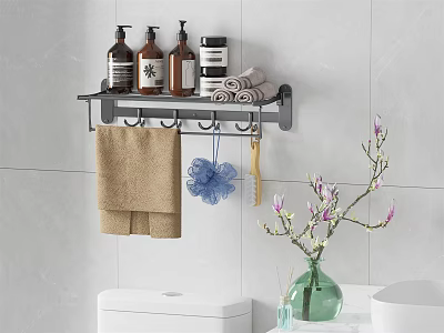 Modern Wall Mounted Bathroom Shelf With Organized Toiletries Towel And Hooks Design 3d model