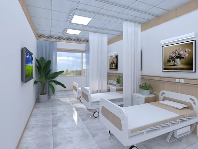 Modern Hospital Ward Interior With White Beds TV Plants And Decorative Paintings 3d model