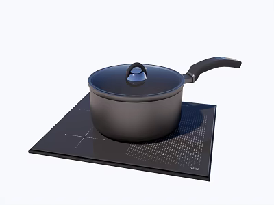 Black Kitchen Pot Placed On Modern Electric Hot Plate Appliance 3d model