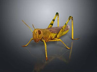 Realistic Yellow Grasshopper 3D Render With Black Stripes Long Legs And Body Details 3d model