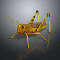 Realistic Yellow Grasshopper 3D Render With Black Stripes Long Legs And Body Details