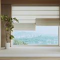 Light Colored Roman Blinds For Indoor Window With Green Plant And Lake View Cityscape