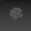 Tall Tree With Lush Green Leaves And Human Silhouette For Size Reference 3d model