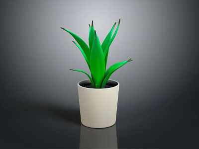 Green Aloe Vera Plant in White Ceramic Pot for Indoor Home Decoration 3d model