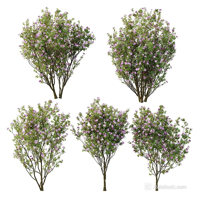 Beautiful Flowering Bushes With Purple Blooms And Lush Green Leaves 3d model 