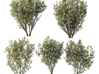 Beautiful Flowering Bushes With Purple Blooms And Lush Green Leaves 3d model
