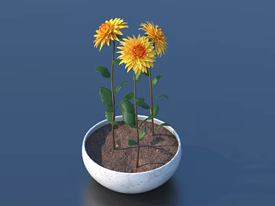 Decorative Potted Plant With Three Yellow Flowers Green Leaves And Brown Soil In White Pot 3d model