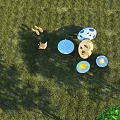 Outdoor Landscape Sculptures Featuring Blue Yellow And White Spotted Egg Shapes On Grassy Ground