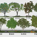 Modern Fruit Tree Plant Combination Orange Tree Blue Flower Jacaranda Green Pomelo Tree Loquat Tree Apple Tree Blue Tree Red Fruit Tree Fruit Tree Tangdi Tree Stone 3d model