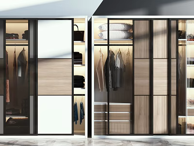 Modern Wardrobe Interior Design With Sliding Glass Wood Doors And Hanging Storage 3d model