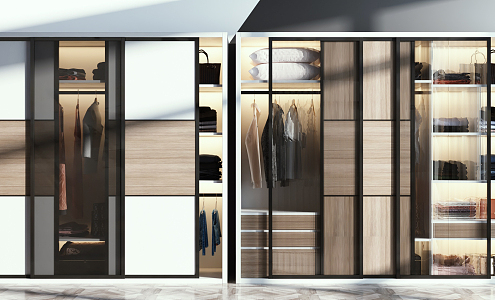 Modern wardrobe combination 3d model