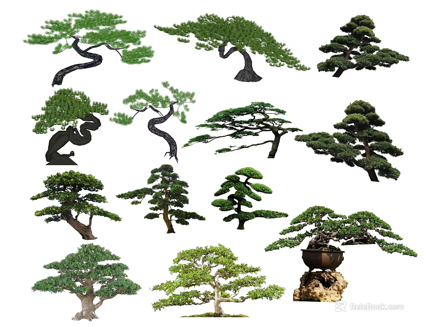 Various Types of Arbor Trees with Curved Branches Lush Foliage and Bonsai Styles 3d model 