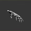 Detailed White Skeleton Hand Sculpture with Anatomical Bone Structure and Smooth Surface Details