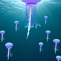 Group of Purple Jellyfish Floating in Deep Blue Ocean Water with Sunlight Rays