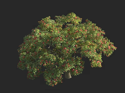 Lush Arbor With Green Leaves And Red Fruits In Natural Form 3d model
