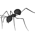 Black Ant Doll With Blue Eyes Long Legs And Stylish Design