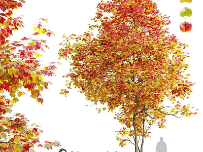 Autumn Themed Decorative Ornament Set With Fall Leaves And Hanging Apple Ornaments 3d model