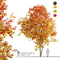 Autumn Themed Decorative Ornament Set With Fall Leaves And Hanging Apple Ornaments