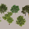 Various Arbor Trees With Different Green And Yellow Foliage Shapes 3d model