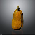 Fresh Orange Pumpkin as Healthy Food Ingredient for Home Cooking Recipes