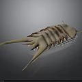 Detailed Arthropod Like Creature Organ And Hair Features With Segmented Body Spines And Hairy Texture