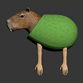 Adorable Capybara Wearing Green Avocado Shell Looking Funny In Studio Shot