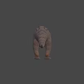 Realistic Triceratops Dinosaur Model With Textured Skin And Horned Head