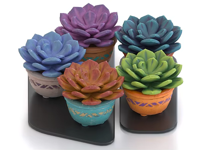Colorful Succulent Potted Plants In Decorative Pots With Patterns On Black Trays 3d model