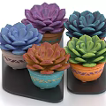 Colorful Succulent Potted Plants In Decorative Pots With Patterns On Black Trays