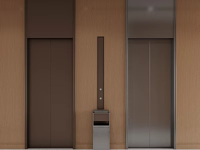 Modern Elevator Doors In Brown And Silver With Wooden Wall Panel And Control Unit 3d model