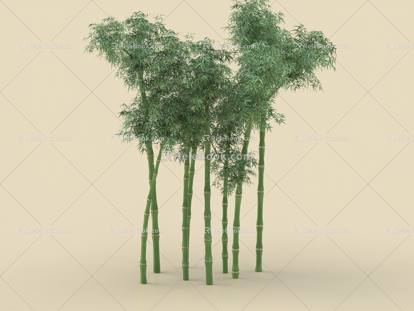 Bamboo Phyllostachys pubescens Purple Bamboo Xiangfei Bamboo Tortoise Shell Bamboo Plant 3d model