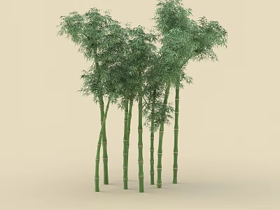 Group Of Bamboo Plants With Green Stems And Dense Foliage 3d model