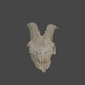 Detailed Sheep Skull With Large Curved Horns On Dark Background