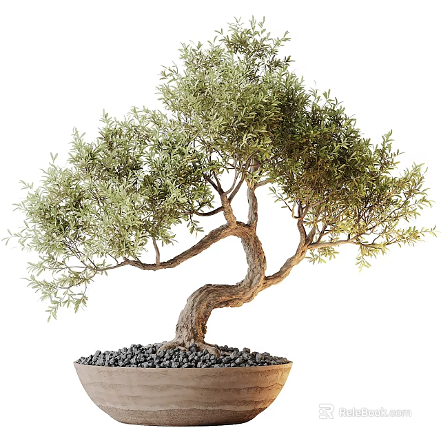 Artistic Bonsai Potted Plant With Curved Trunk Lush Green Leaves And Decorative Stones 3d model 