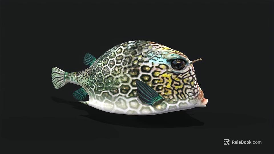 Colorful Marine Pufferfish Featuring Hexagonal Green Yellow Patterns Round Body and Big Eyes 3D Rendering 3d model 