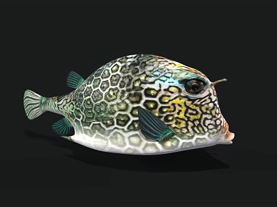 Colorful Marine Pufferfish Featuring Hexagonal Green Yellow Patterns Round Body and Big Eyes 3D Rendering 3d model