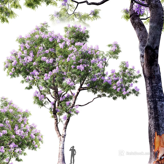 Blooming Arbor with Vibrant Purple Flowers Lush Green Leaves and Thick Trunk 3d model 
