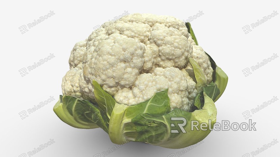 Modern cauliflower cauliflower cauliflower model