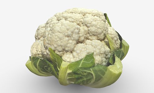 Modern cauliflower 3d model