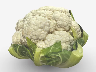 Modern cauliflower 3d model