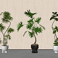 green plant potted plant combination bonsai 3d model