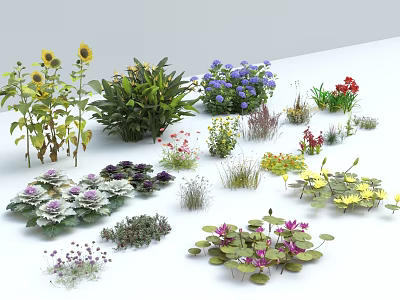 Variety of Flowers and Plants Including Sunflowers Purple Flowers Green Plants and Water Lilies 3d model