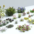 Variety of Flowers and Plants Including Sunflowers Purple Flowers Green Plants and Water Lilies