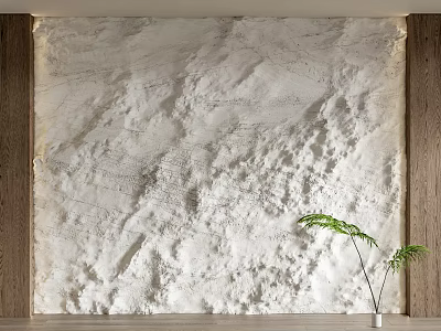 Textured White Background Wall With Wooden Side Frames And Green Plant 3d model